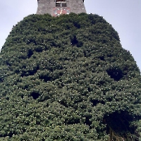 19 20240814_183239 Kirchturm in Ried