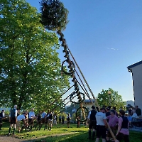 20250430_185011