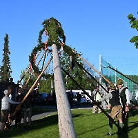 11 DSC_0014