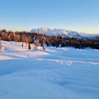 IMG-20260227-WA0002